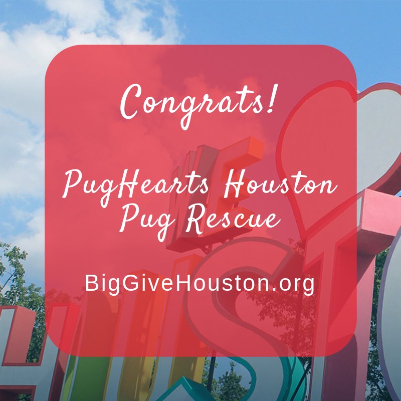 Congrats to <a href="/pughearts/">PugHearts of Houston</a> for winning the prize for the most donors 12-2PM! #BigGiveHouston #GivingTuesday