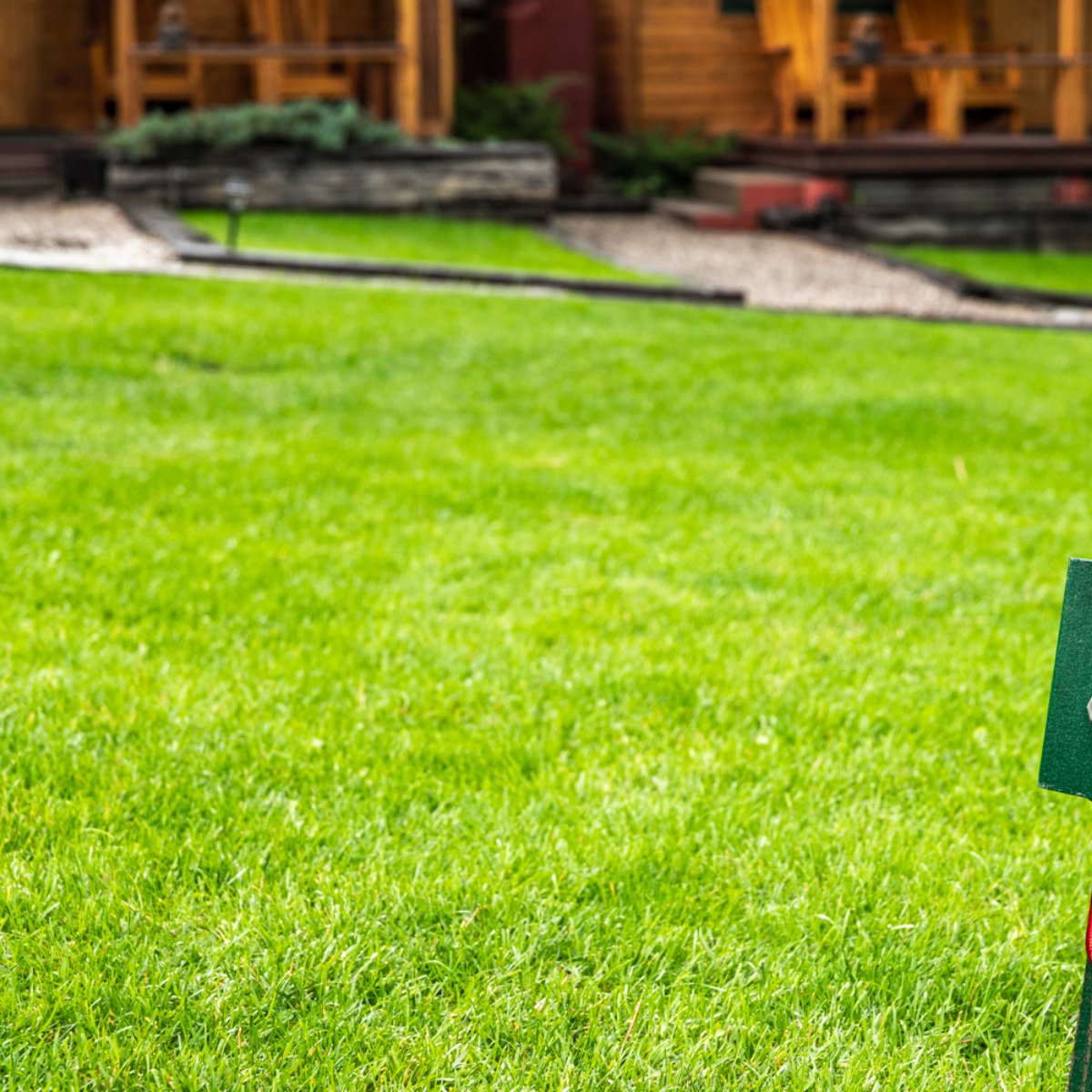 Ruidoso Lodge Cabins On Twitter The Grass Is Greener Here