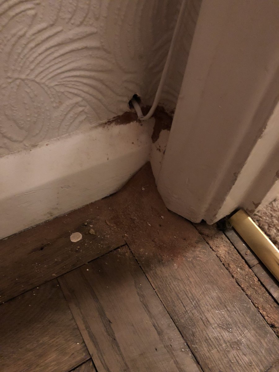 ClaudiaZeppX's tweet photo. @virginmedia the most disgusting work I’ve ever seen! Just had virgin fitted today and they’ve left my house like this! No internet or phone working and my mums carers alarm is meant to be connected to the internet to work. Also on hold for 20 minutes. Someone needs to contact us https://t.co/PjmFcUPWGE