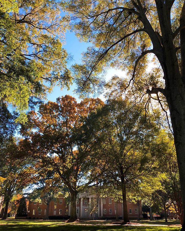 blogherethere's tweet photo. Nothing like that Carolina Blue sky 💙 I never thought much about “carolina blue” as a real thing until I moved away and then moved back. There really is something special about the sky here! Have y’all been to #NC? // Davidson, NC https://t.co/h1tBDMas2A