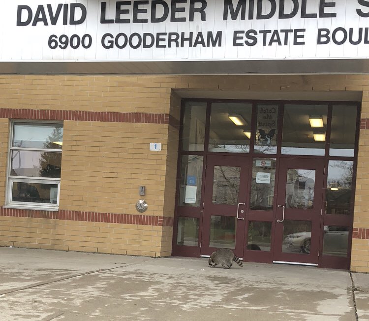 He came to get an education here <a href="/DLMS_MS/">David Leeder MS (FI)</a> 📚