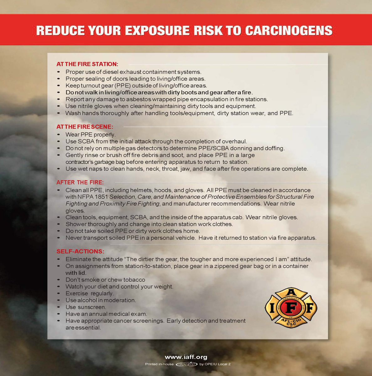 Ladybug Pest Control Albuquerque Pest Control