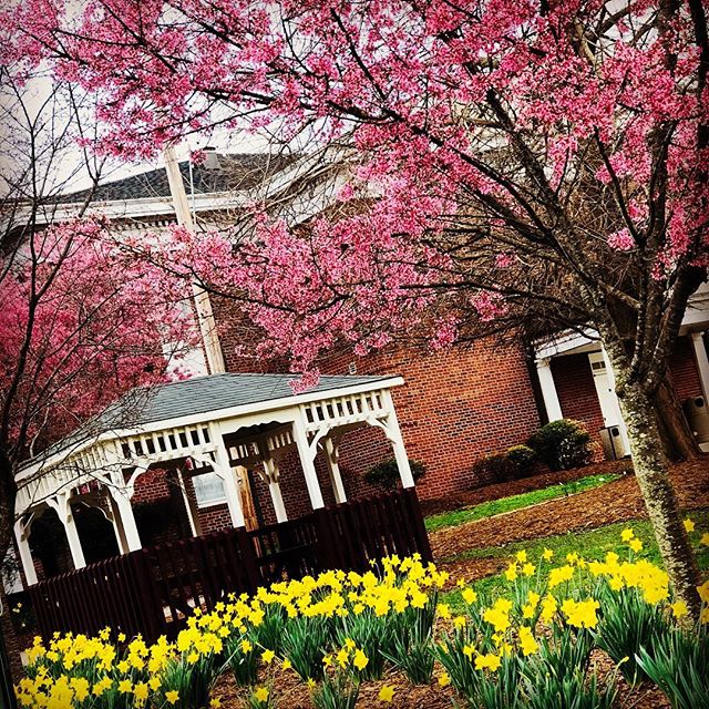 MitchellCC_NC's tweet photo. A beautiful picture of the campus taken by one of our students ambassadors #mitchellcommunitycollege https://t.co/Ek8vkggeSw