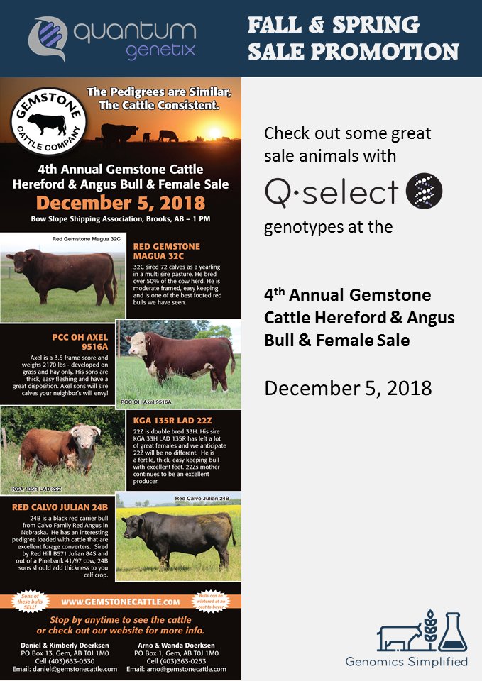 QuantumGenetix's tweet photo. Find great animals tested with #Qselect at the 4th Annual @GemstoneCattle Hereford & Angus Bull and Female Sale #Fallsale #Bullsale #Femalesale #Hereford #Angus #GenomicsSimplified
Click the link below for the full sale catalog and website link!
https://t.co/LQMdnbYboE https://t.co/bWQNzdY7Zm