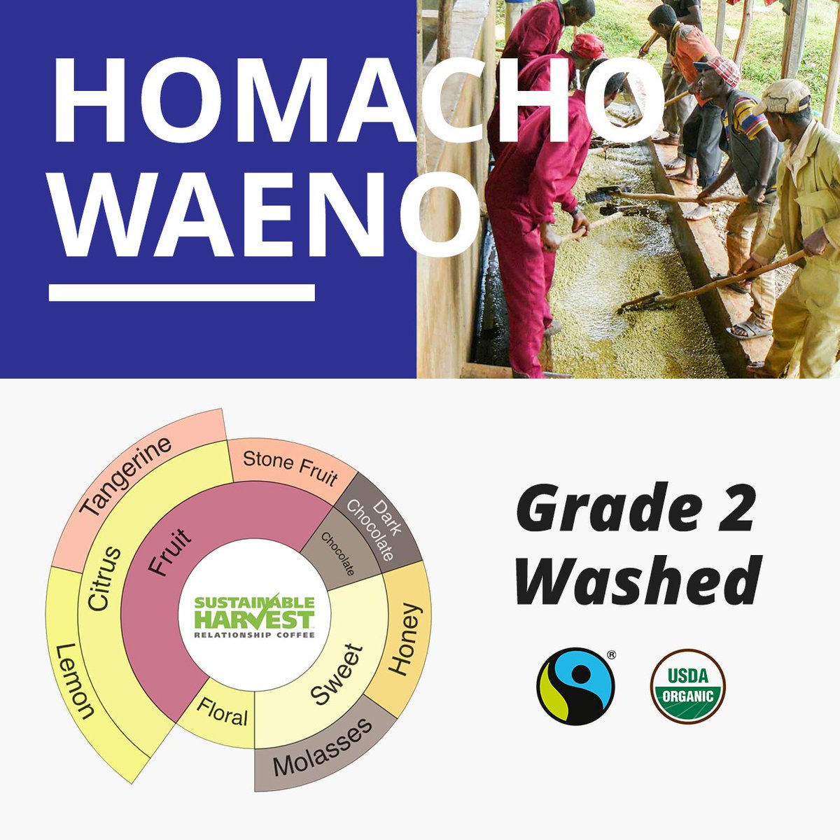SustHarv's tweet photo. Our latest Ethiopia FTO Sidama arrivals feature mouthwatering watermelon, sublime tangerine, and elegant florals. Try them now on our spot offerings: https://t.co/WbFUwaEtQJ
#SpotOffering #RelationshipCoffee #SpecialtyCoffee #CoffeeImporter https://t.co/tSfhrU8yge