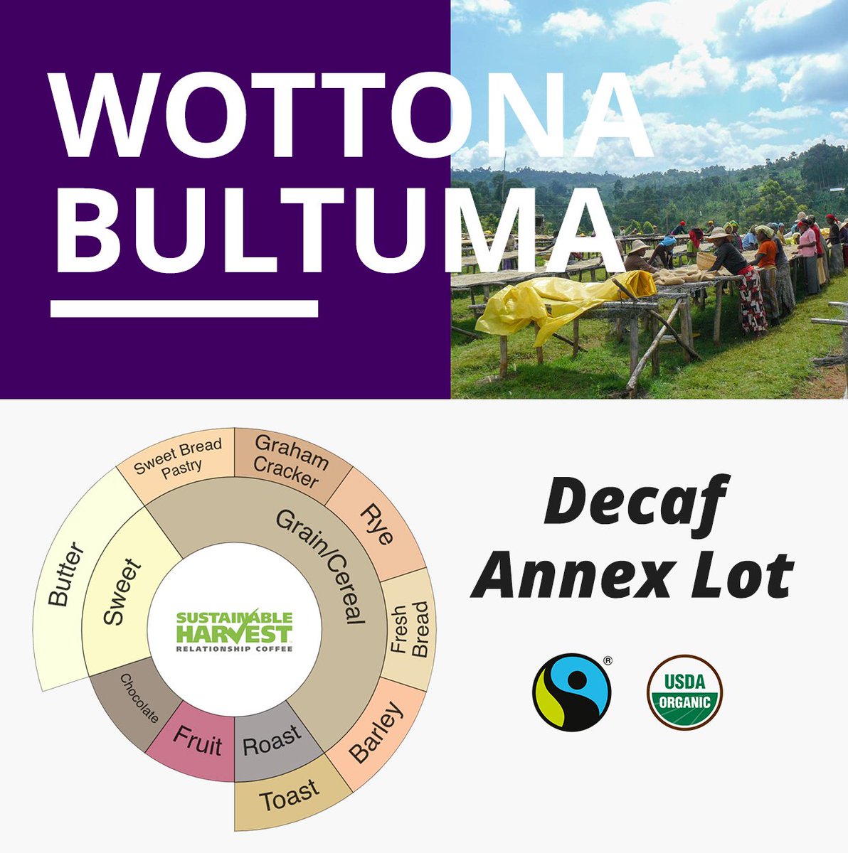 SustHarv's tweet photo. Our latest Ethiopia FTO Sidama arrivals feature mouthwatering watermelon, sublime tangerine, and elegant florals. Try them now on our spot offerings: https://t.co/WbFUwaEtQJ
#SpotOffering #RelationshipCoffee #SpecialtyCoffee #CoffeeImporter https://t.co/tSfhrU8yge