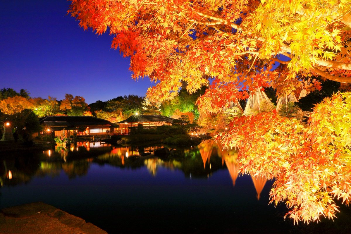 紅葉見頃 紅葉便り 18年11 27現在 紅葉情報 紅葉便り T Co Vg1ho4hxk4 愛知県名古屋市熱田区の回遊式日本庭園 白鳥庭園 では 紅葉が見頃でライトアップを12 9日 日 まで実施 現地には 地下鉄名城線 神宮西駅 から徒歩で約10分 写真は 紅葉見頃 紅葉便り 18年11 27現在 紅葉情報 紅葉便り T Co Vg1ho4hxk4 愛知県名古屋市熱田区の回遊式日本庭園 白鳥庭園 では 紅葉が見頃でライトアップを12 9日 日 まで実施 現地には 地下鉄名城線 神宮西駅 から徒歩で約10分 写真は
