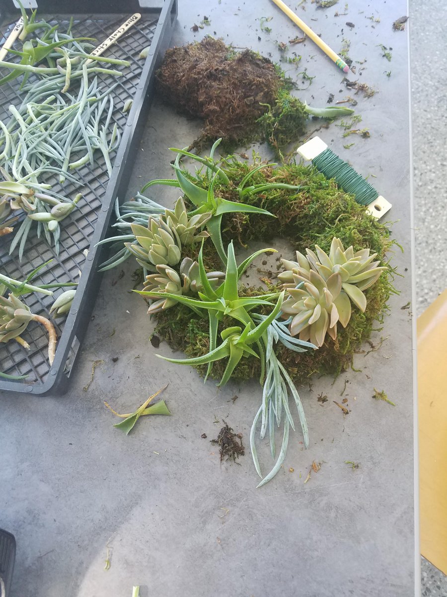 We’re suckers for succulents! These succulent-loving students enjoyed learning how to plant, care for, and arrange these unique little plants for décor. Sad you missed out? We’ll have another class available in the spring!