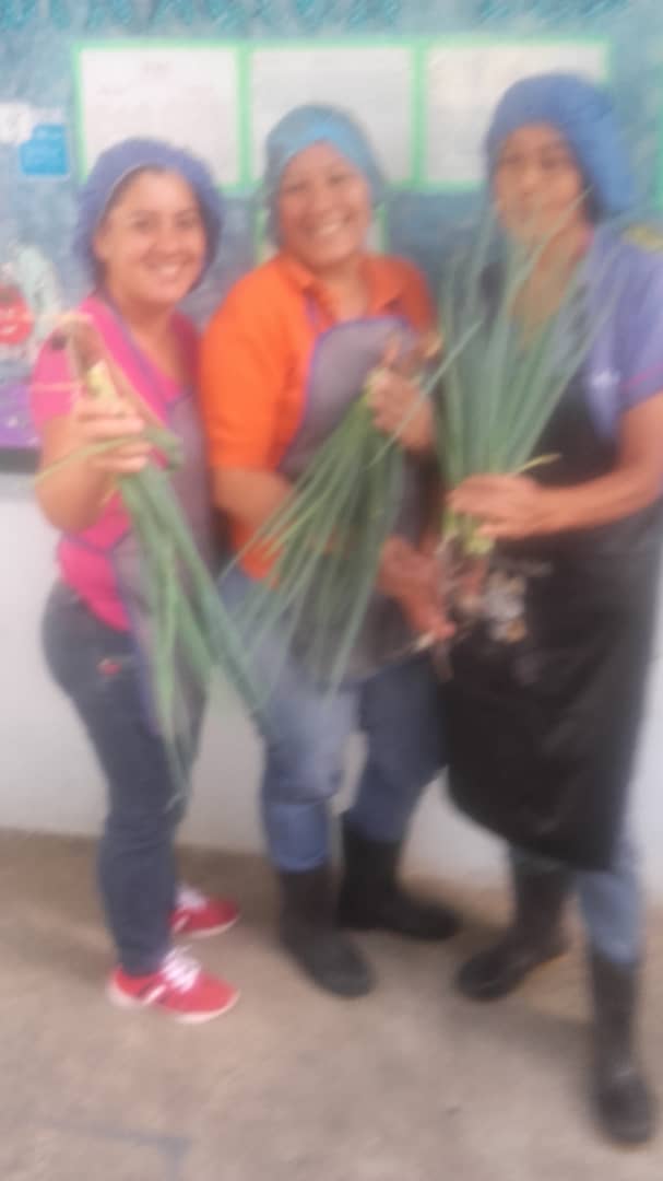 Parte de la cosecha de cebollin  del conuco escolar. Del terreno directo al Pae, para beneficiar a los estudiantes <a href="/charlychaves/">Charly Rojas Chaves</a> @MPPEDUCACION <a href="/BolivarianasZET/">Erika Varela Sayago Escuelas Bolivarianas</a> <a href="/SalaTachirazet/">SalaTáchiraMPPE</a>