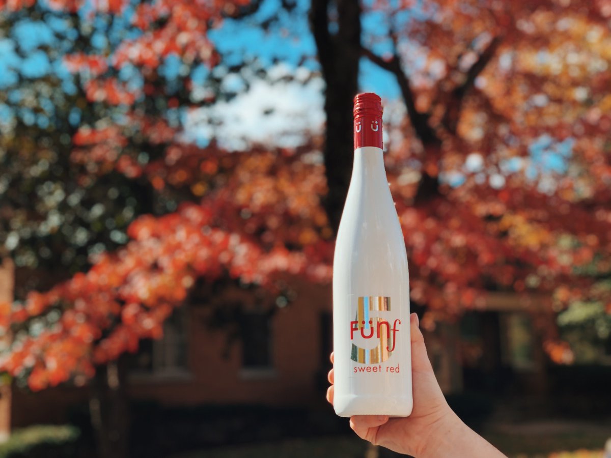 funfwines's tweet photo. Cool breeze, Autumn leaves, more wine please. 🍂🍷 https://t.co/YBBGx5UGhc