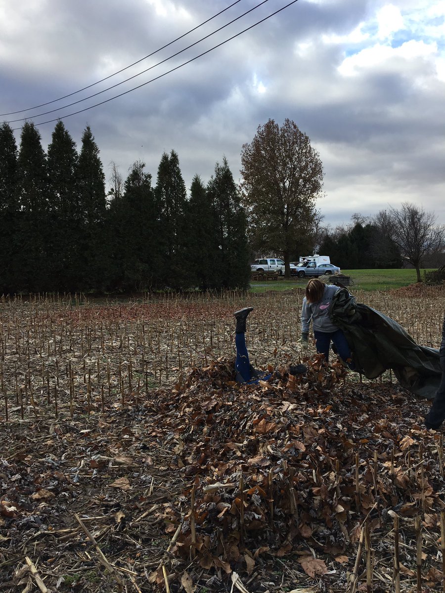 Carrascoscrew's tweet image. What kid doesn’t want to jump in the big pile? #DayofGiving #havingfunwhileworking #werakedit @imatowsen