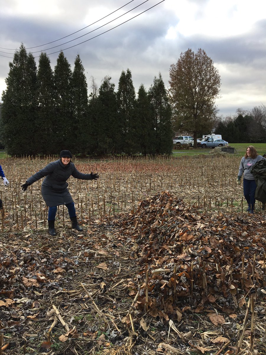 Carrascoscrew's tweet image. What kid doesn’t want to jump in the big pile? #DayofGiving #havingfunwhileworking #werakedit @imatowsen