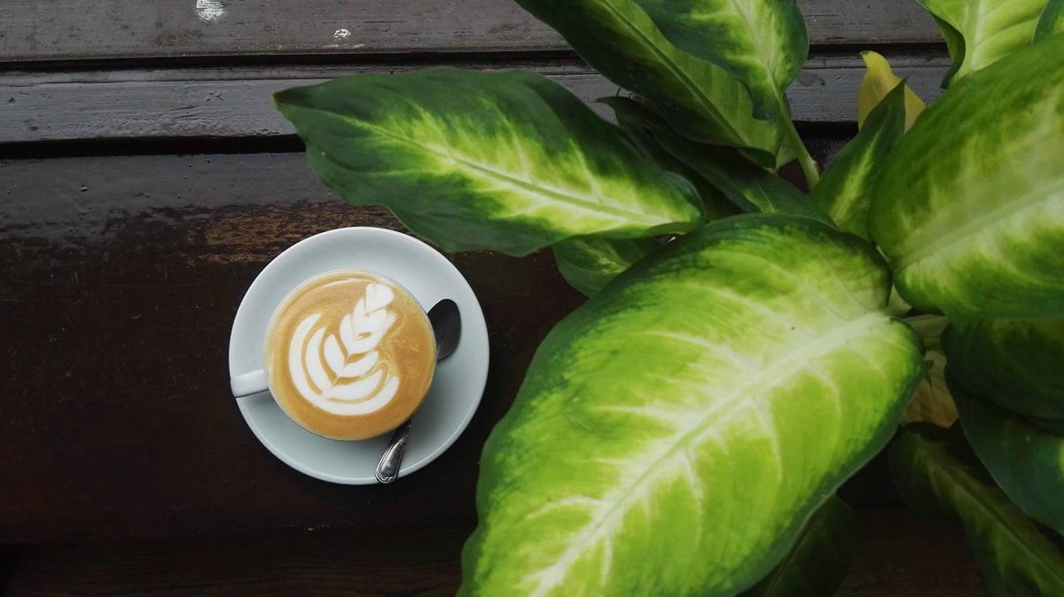 CoffeeAngelEdi's tweet image. Waking you up with a strong &amp;amp; delicious flat white this morning. 
Soggy weather, makes our coffee taste even better ;) 
#madeupscience #Edinburgh #coffeetime #coffeeshop