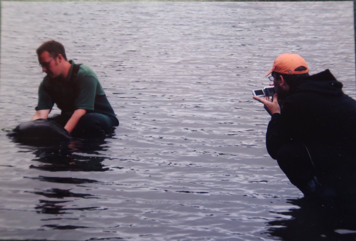 Returning “Alfie” a lake record at37lb in 2005. Slightly different photo of a photo #carp #carpfishing #carpdiem #mirrorcarp