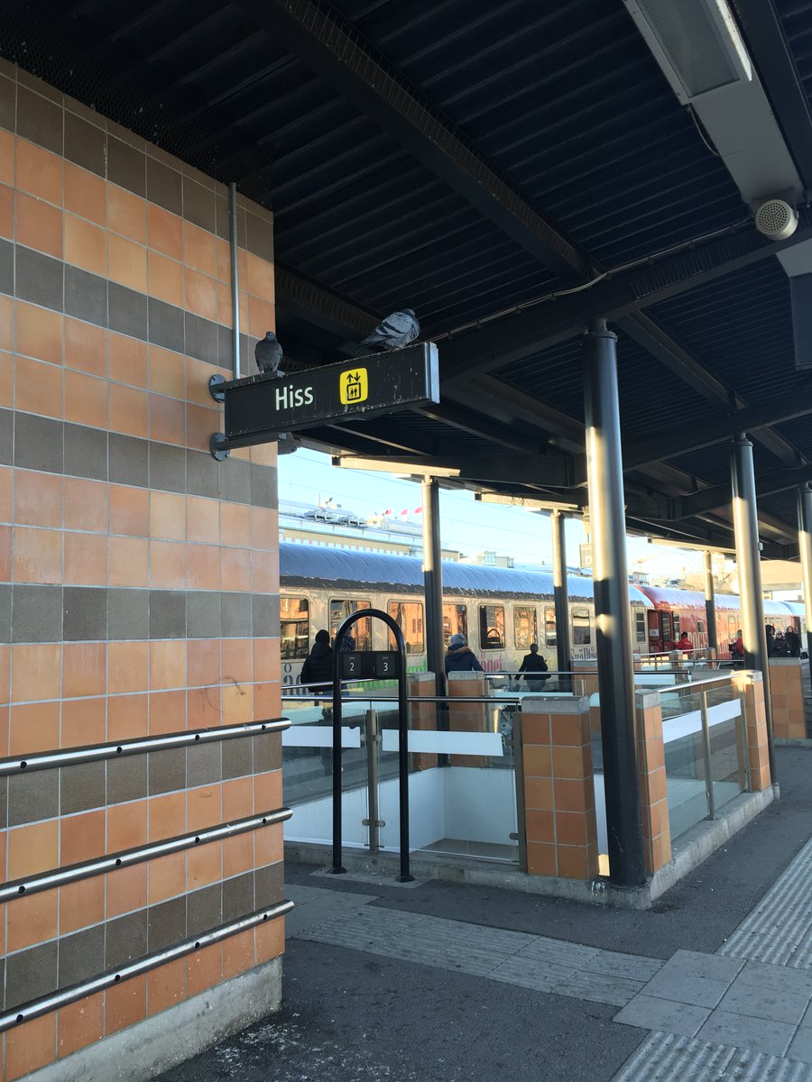 utflyktsverige's tweet photo. Anlände till #Linköping Central med tåg, fotograferade två #duvor som blev sura.
Hemväg på kvällen på Linköping C: en fågelskit missar mig med några decimeter. Jag ser upp, men det finns inga fåglar under perrongtaket.
Märkligt.
Som en replik ur tiden. https://t.co/QCRSSnApvX