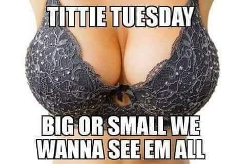 I do not discriminate! Drop your favorite pair in the comments below! I wanna see them all!  #titties<a href="/tag/boobies"class="tags"><span>#boobies</span></a><a href="/tag/tuesday"class="tags"><span>#tuesday</span></a><a href="/tag/titties"class="tags"><span>#titties</span></a><a href="/tag/big"class="tags"><span>#big</span></a><a href="/tag/small"class="tags"><span>#small</span></a><a href="/tag/adultmodel"class="tags"><span>#adultmodel</span></a>
