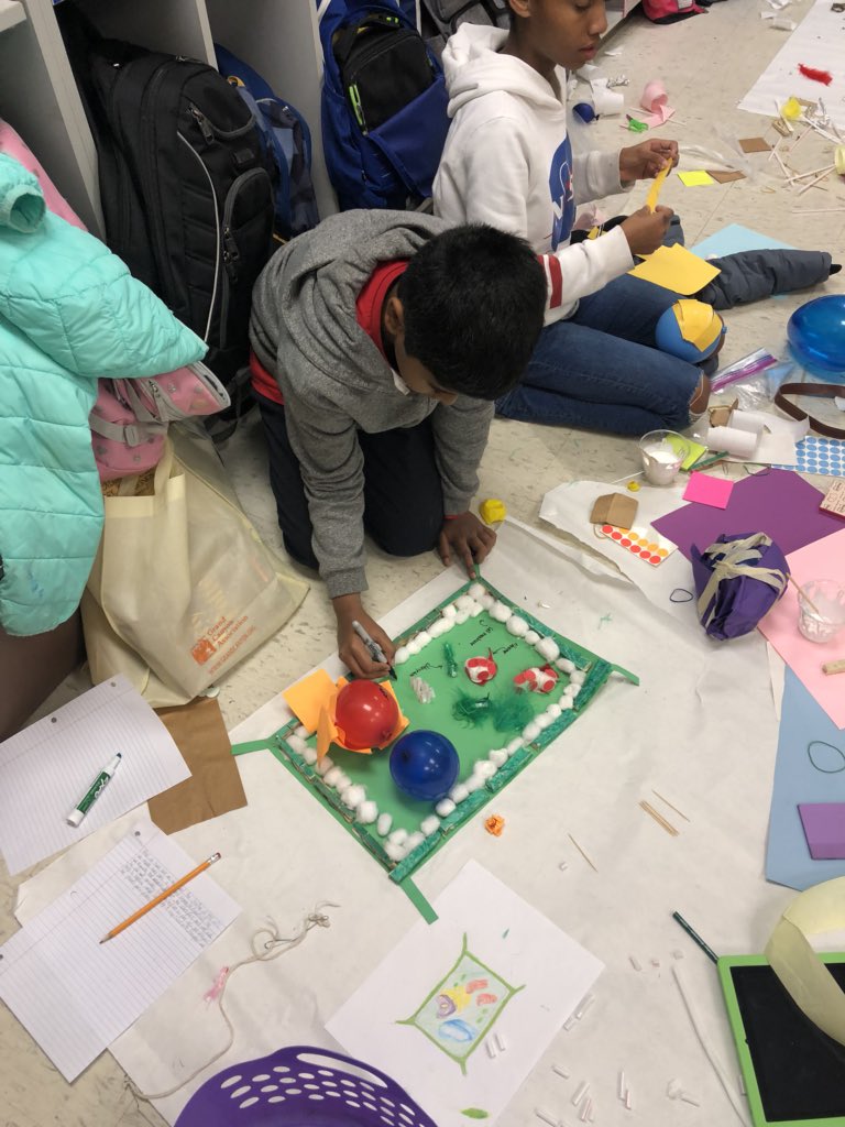 Working together to make a model of a cell! These fifth graders can use the 4Cs!@MorrisvilleElem #sciencerocks #iteachfifth