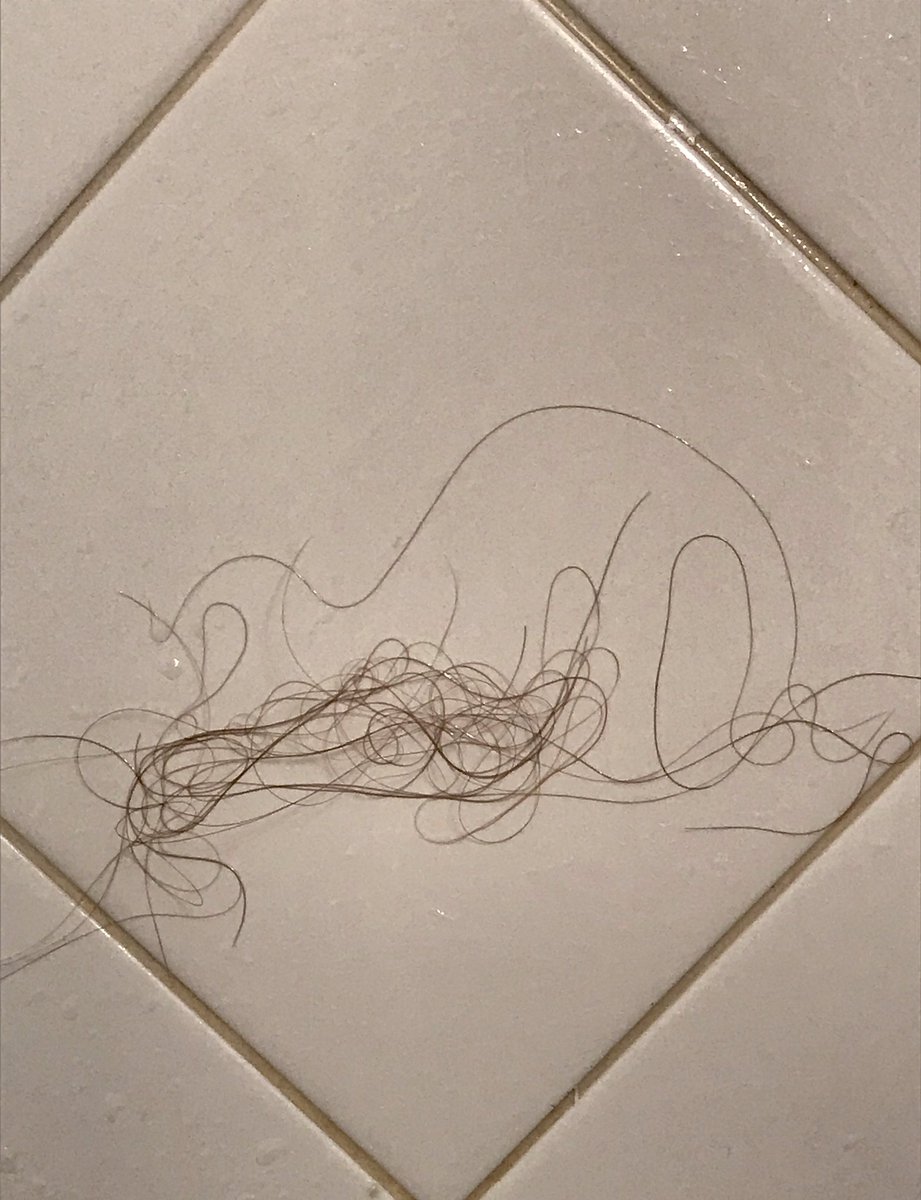 TourGuideNY's tweet image. Since all kinds of art work have already been done before, I bet this is a new one! All works by PamDesign in the shower! New pieces on display everyday!! 😂#hairart #masterpiece #original #artist #JoinTheMovement