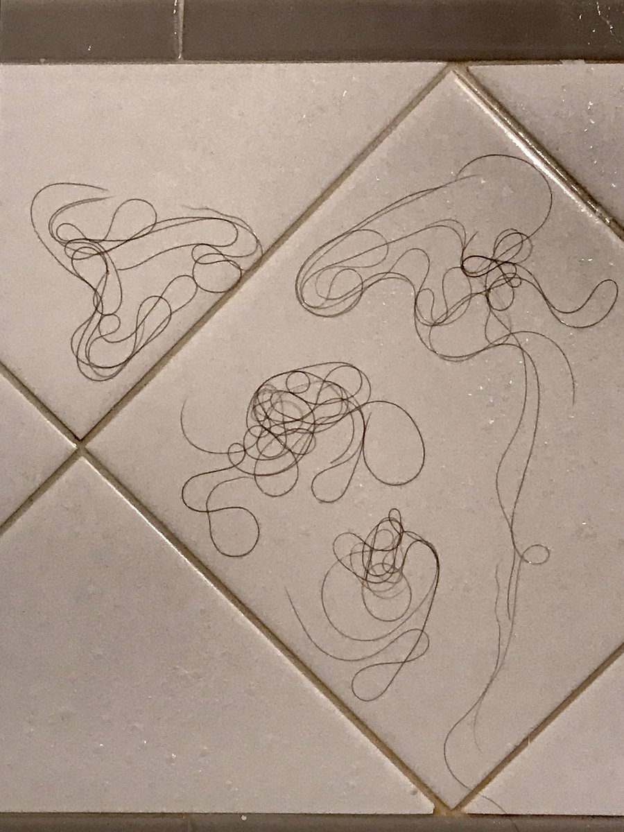 TourGuideNY's tweet image. Since all kinds of art work have already been done before, I bet this is a new one! All works by PamDesign in the shower! New pieces on display everyday!! 😂#hairart #masterpiece #original #artist #JoinTheMovement