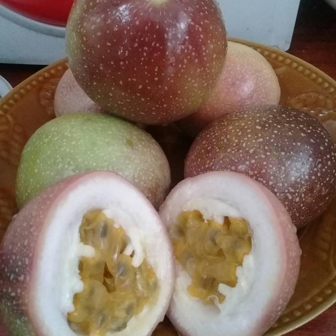SitorusPoloria's tweet photo. @KompasKlasika Sy selalu mengatur pola makan sehat&amp;jadwal minum jus buah bervariasi+YOGA setiap hari #KicauKarier https://t.co/ZtWVO8LFZL