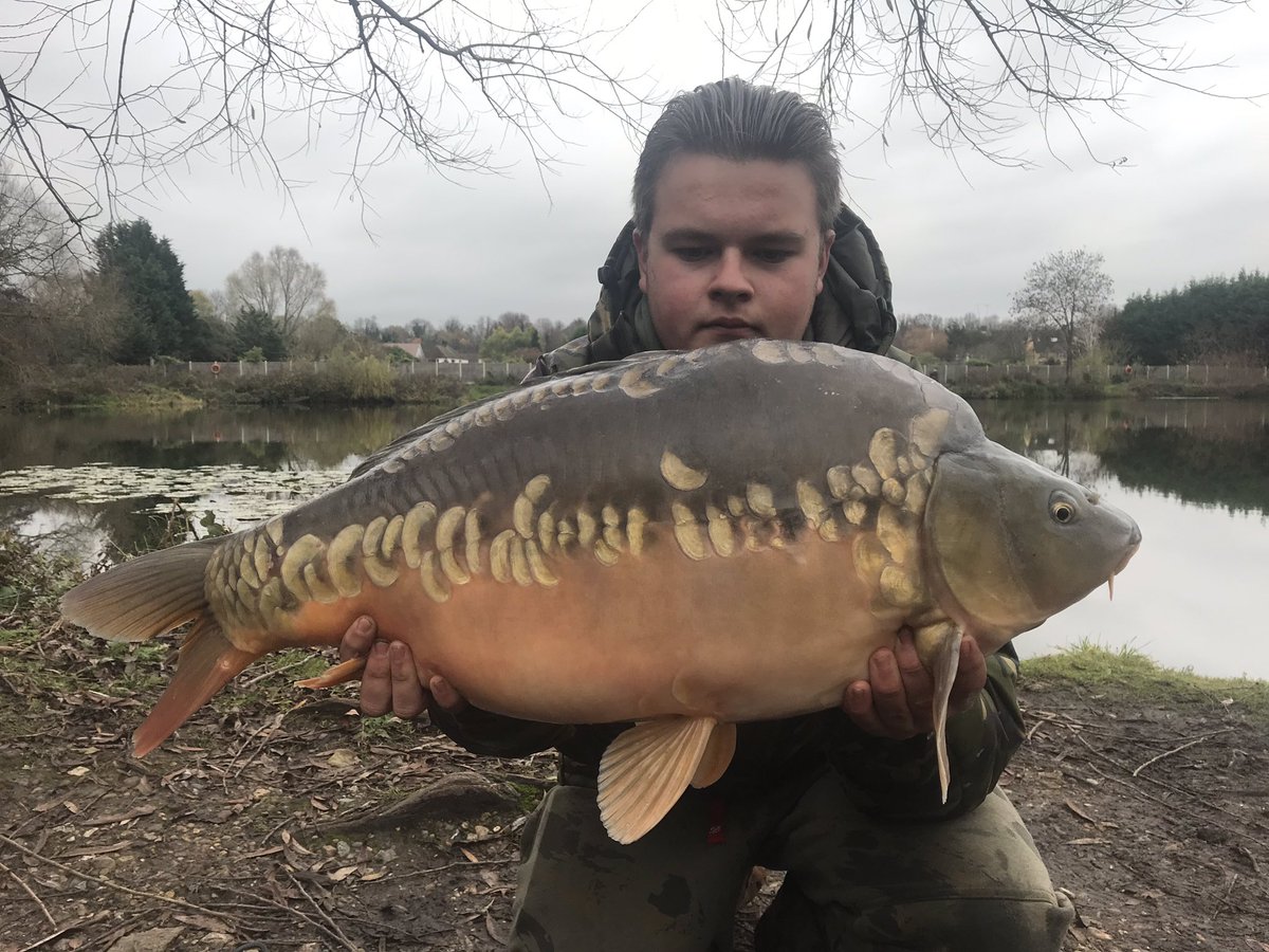 Reckon this one may have a bit of potential looking at that frame .. we have fish of 1-25lbs available #vscarp #vsfisheries #carp #carpy