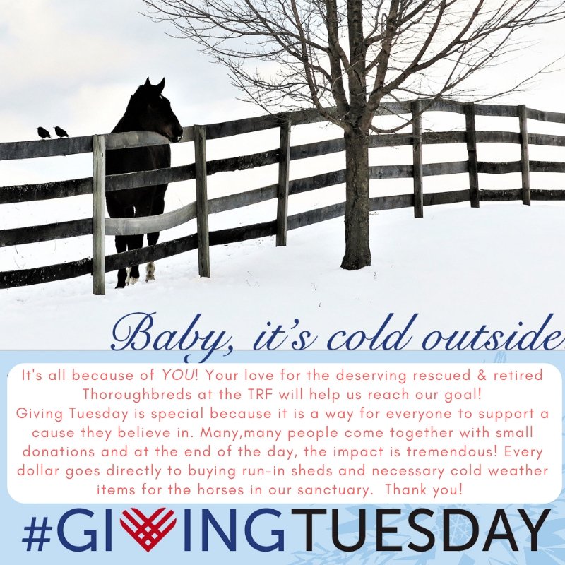 trfinc's tweet photo. "Growth is never by mere chance; it is the result of forces working together." James Cash Penney #Babyitscoldoutside #GivingTuesday #GivingTuesday2018 @GivingTues #TogetherStronger #TRFstrong #ShowYourLove #horses #sanctuary #goals #arethereyet https://t.co/tFnZwnOLz5