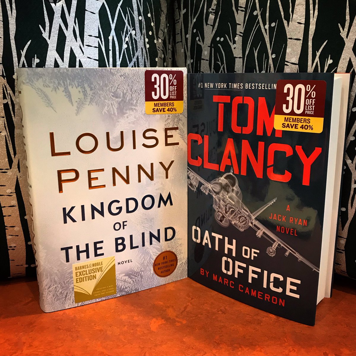 Snowy days are perfect for staying in and curling up with a good book! We suggest trying out one of these new titles 😉❄️