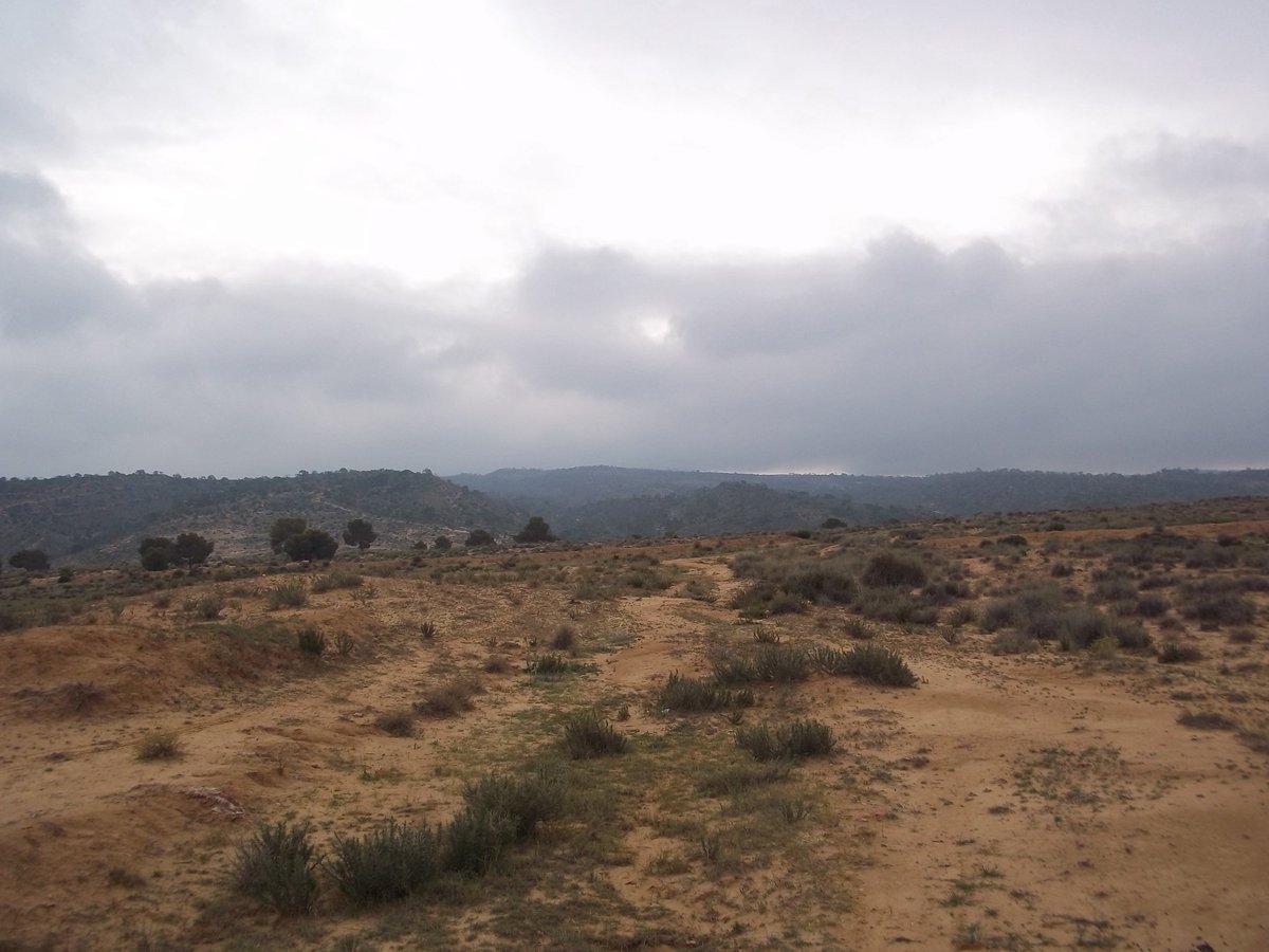 SmidaSamali's tweet image. بداية ألشتاء