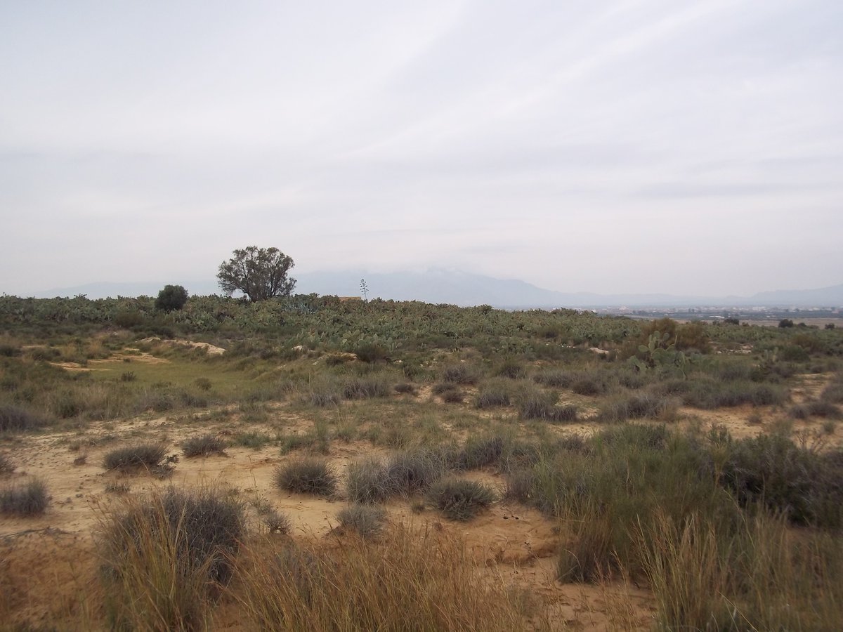 SmidaSamali's tweet image. بداية ألشتاء