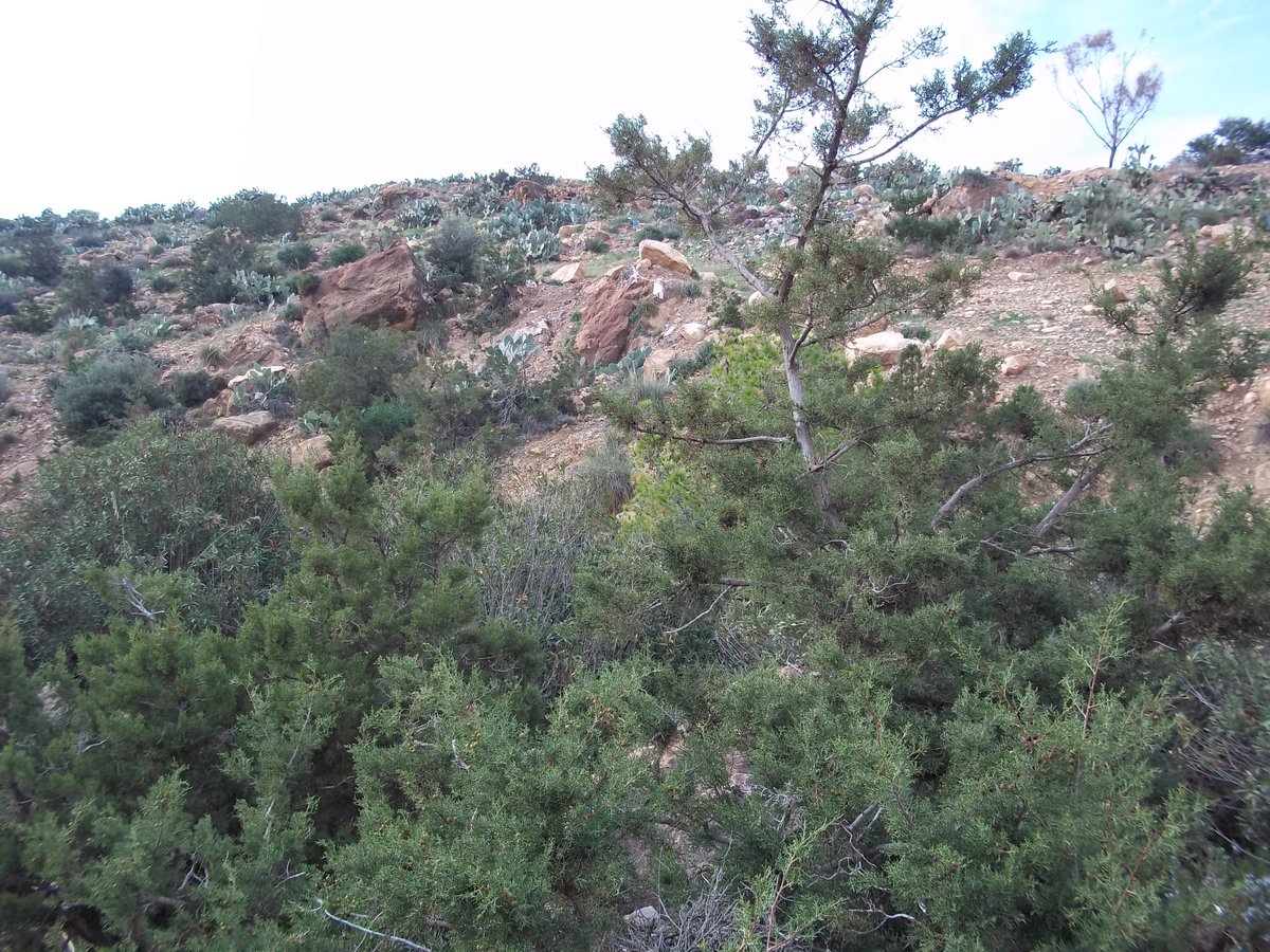 SmidaSamali's tweet image. بداية ألشتاء