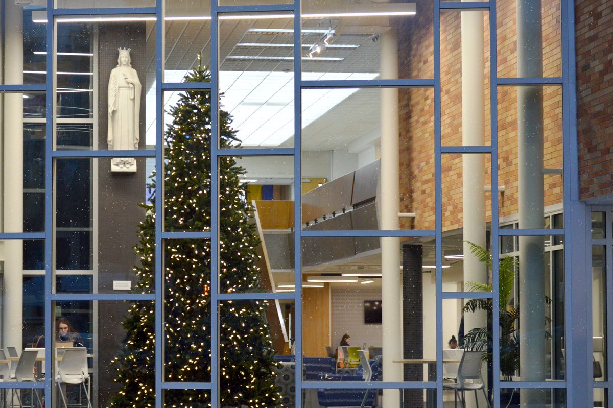 suatoledo's tweet photo. A brand new main entrance deserves a brand new tree! #UndeniablyBeautiful https://t.co/VRnYcgMqFC