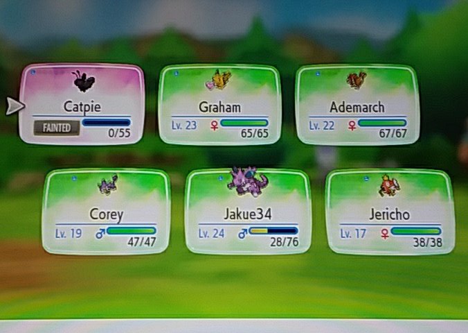 JakeyAsAlways's tweet photo. Freaking jerkwad of a Hiker has some next level plays. In with Nidoking at low health (remember, I can't heal in non boss battle fights), goes for rock throw vs a Nidoking as I switch in poor Butterfree... #LetsGoPikachu #Nuzlocke #ByeByeButterfree https://t.co/n6jLte8tZS