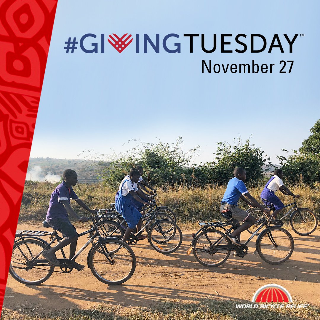 Bets Lillo tweet media