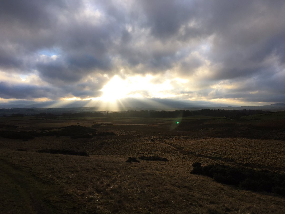 Stusom75's tweet photo. Today’s run wasn’t too bad. #workingfromhomeagain #ukrunchat https://t.co/R9XxRdMqxA