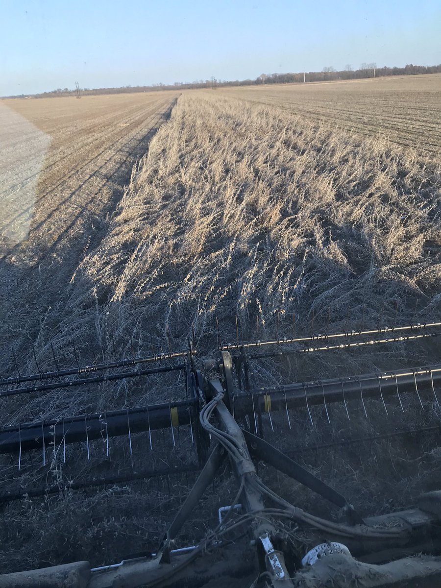 curlydock's tweet photo. That’s a wrap! #harvestfromhell2018 #demosdone #holybejeezus @ARKeithPerkins https://t.co/jTR7i49Dv2