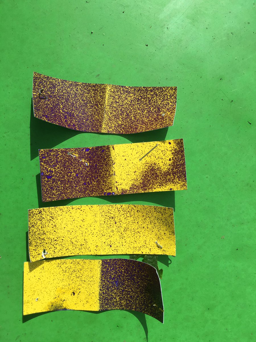 jbresnehan's tweet photo. Spraying grapevines, same water rate (500lts/ha) Green background 8.5kph, white 6.5kph. Slowing down seems to make sense.... https://t.co/m9WVYcc7qO