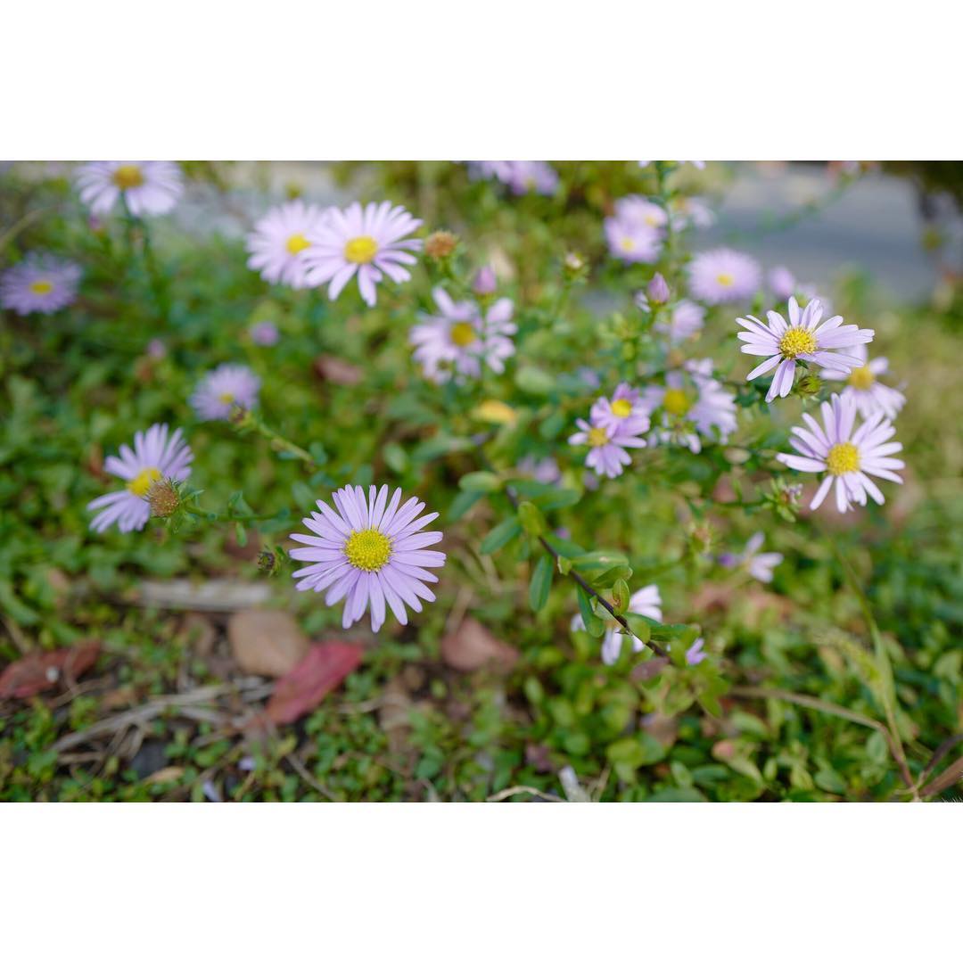 DtDBcacUwAASPyD?format=jpg