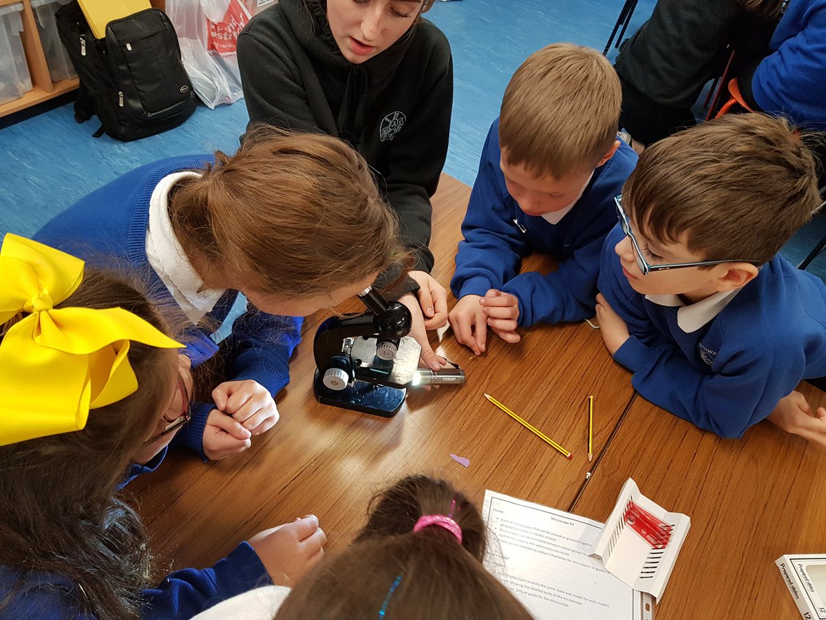 MuirtownP's tweet photo. More P5 fun today with our @CA_Inverness visitors working on #STEM! Lots of learning how to use microscopes.π¬ They did enjoy looking at the dead spiders π· they found ! Thanks again to our visitors! π #learningisfun #TeamMuirtown #microscopefun https://t.co/23ubsK93JG