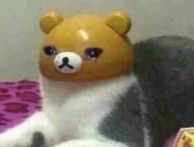 ᴛ ʀ ɪ ɴ . ʟ (@fangedgremlin) on Twitter photo 