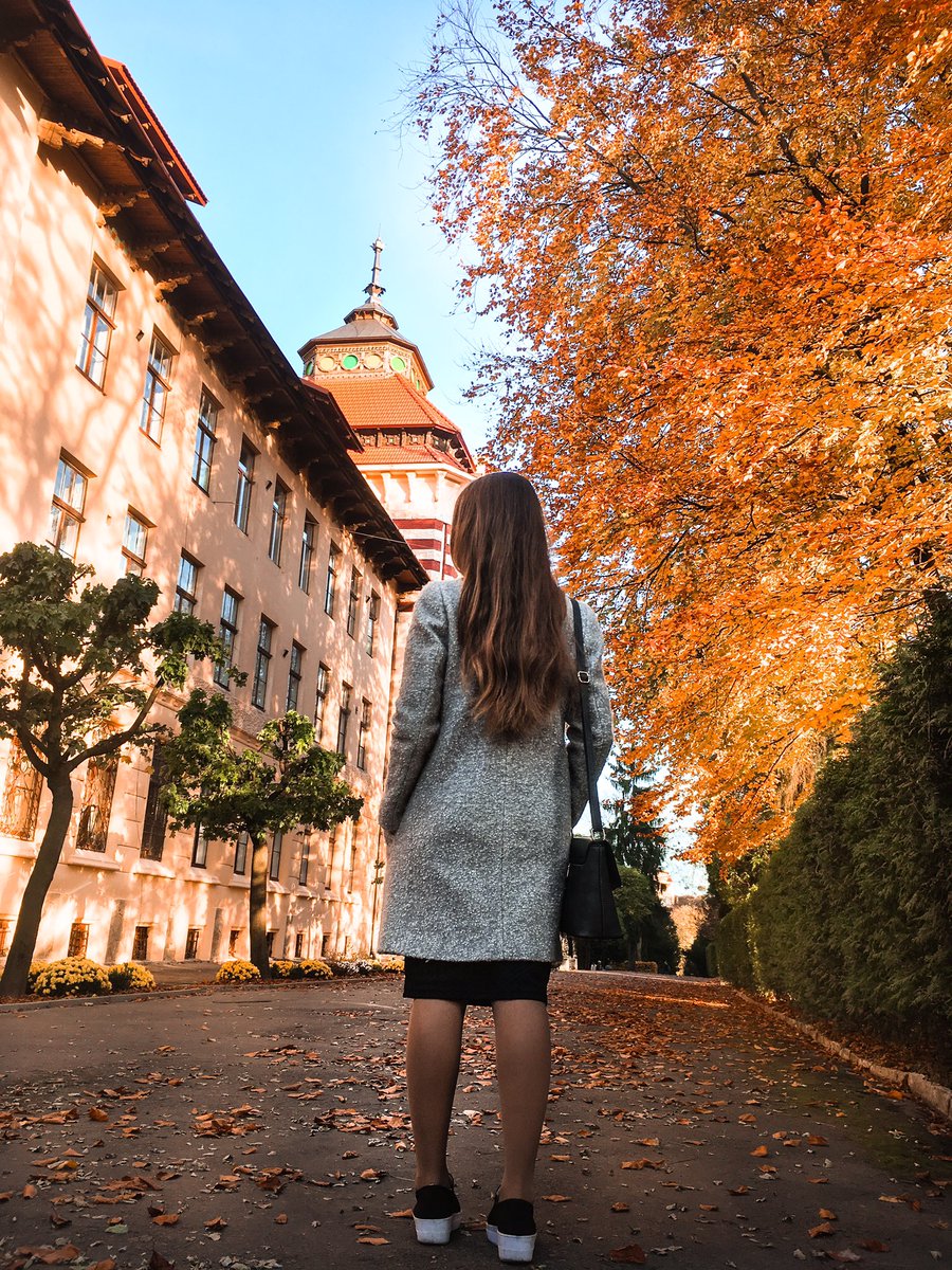 Anastasiya Chernova tweet media