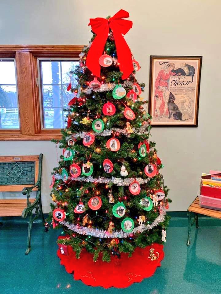 Hillside43050's tweet photo. It's that time of year again! Our annual #treeofgiving is up 🎄 help those in need this season and consider donating to our local animal shelter and humane society! #GivingTuesday #tistheseason #donate ❤️ https://t.co/fS6wSs1qce