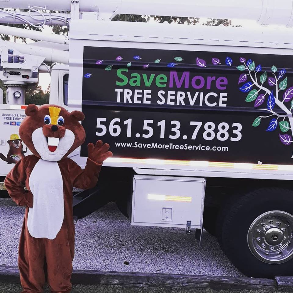 savemoretreesrv's tweet photo. Billy the beaver is super excited to see you all this year at the Wellington Christmas parade!! Don't forget to mark your calendars for Sunday December 9th!! Hope to see you there!! πΉπ²
https://t.co/R6pvY1Q7Fm
#WellingtonChristmasParade #BillyBeaver #SavemoreTreeService https://t.co/itOtFGqQFB