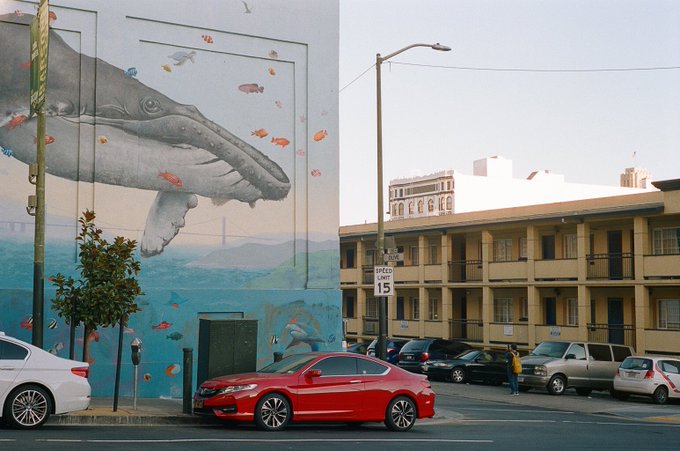 She is a whale, her name is Olive and her speed limit is 15 https://t.co/1Jt4YHDWn1<a href="/tag/nofilter"class="tags"><span>#nofilter</span></a><a href="/tag/film"class="tags"><span>#film</span></a>