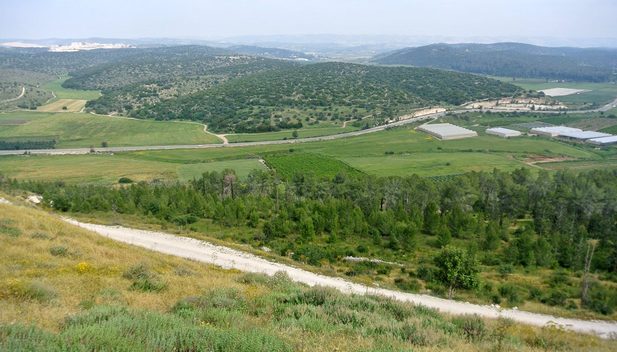 The chapter begins with the Philistines invading Judah.Philistines and Israelites face each other from their vantage points on the two sides of the Valley of Elah.