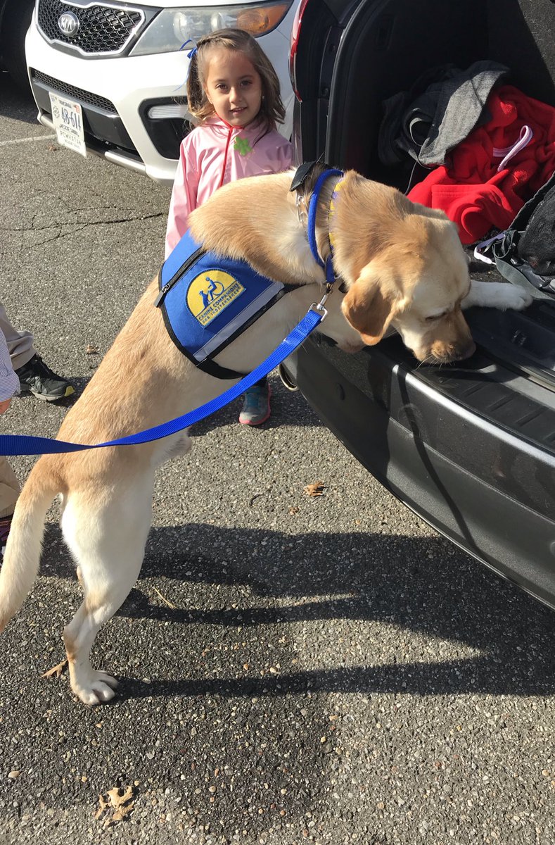 PuppyLondonIV's tweet photo. We want all to know that #MS warriors are not alone,+ if Mrs. Z or other #MSWarriors want +will benefit from a service dog, @ccicanine provides them at no cost to families. You are not alone. We hear you. We are with you🐾💙#PuppyLondon
#WeAreIndependence
#HELPisAFourLeggedWord https://t.co/6bego3PQ2x