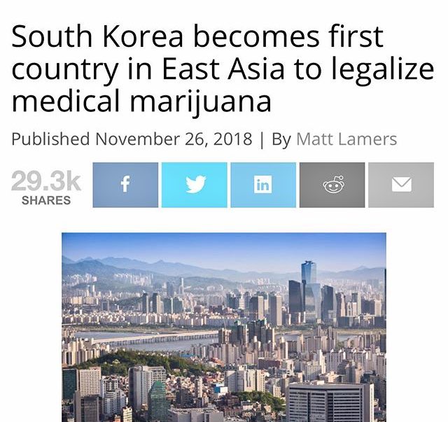 BerkeleyPCC's tweet photo. Congrats to 🇰🇷South Korea!🇰🇷 For being The first Country in east Asia to legalize Cannabis! THIS is major a step forward towards legalization worldwide! 🤯😵💨💨💨 #berkeleypcc #cannabiscommunity #worldlegalization #medicalmarijuana #smokeweedeveryday #fueledbythc https://t.co/MFi7AAcG1W