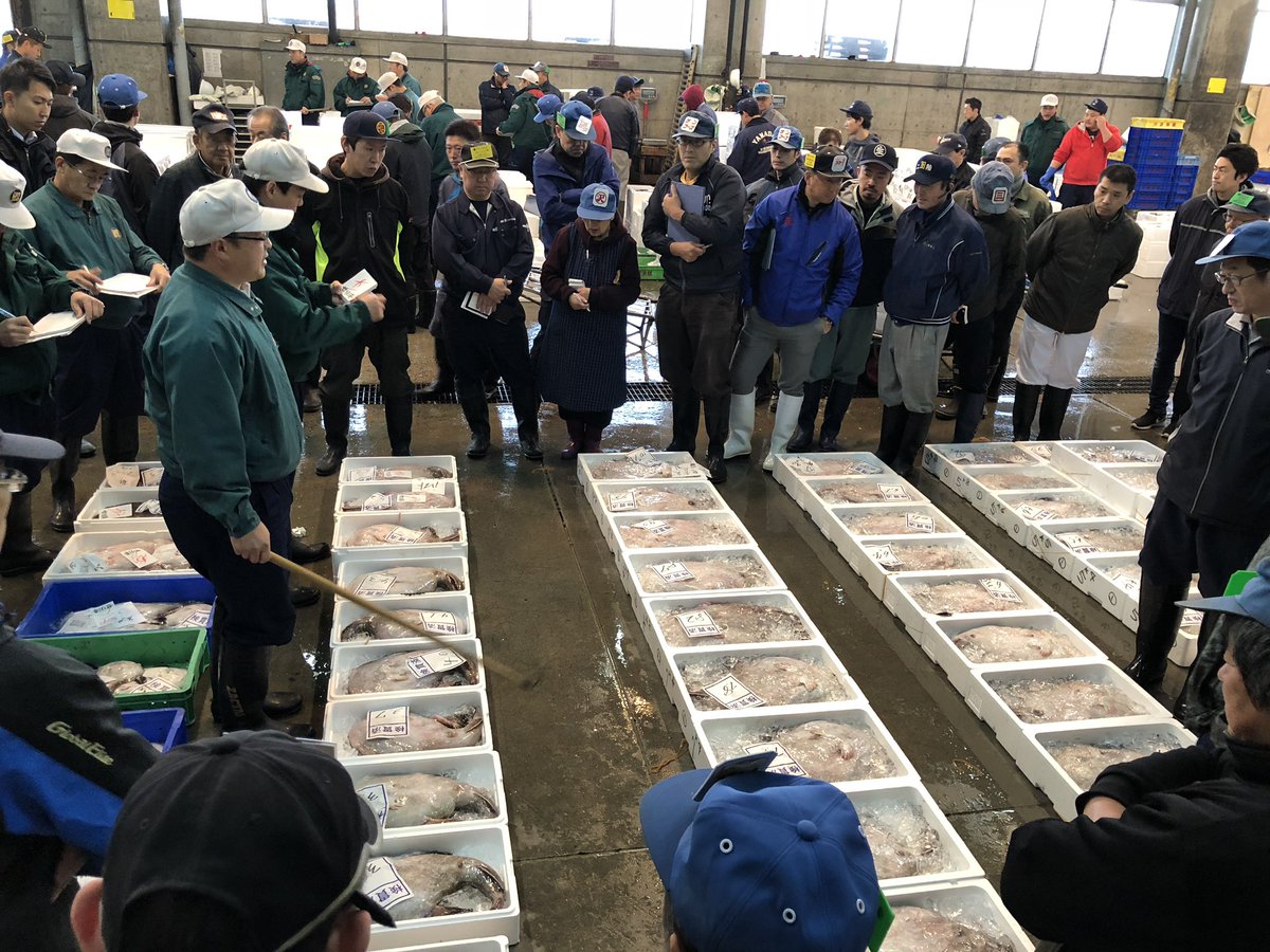 庄野智治 Mensho代表 No Twitter 12 6護国寺リニューアルに向け 函館市場へ 水揚げされたばかりの新鮮な魚が並び せり人と仲買人の声が響き刺激的 料理人としてはワクワクがとまりません