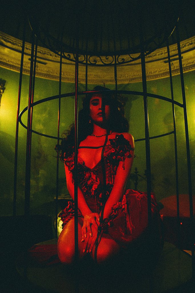 LaurenJauregui's tweet image. 