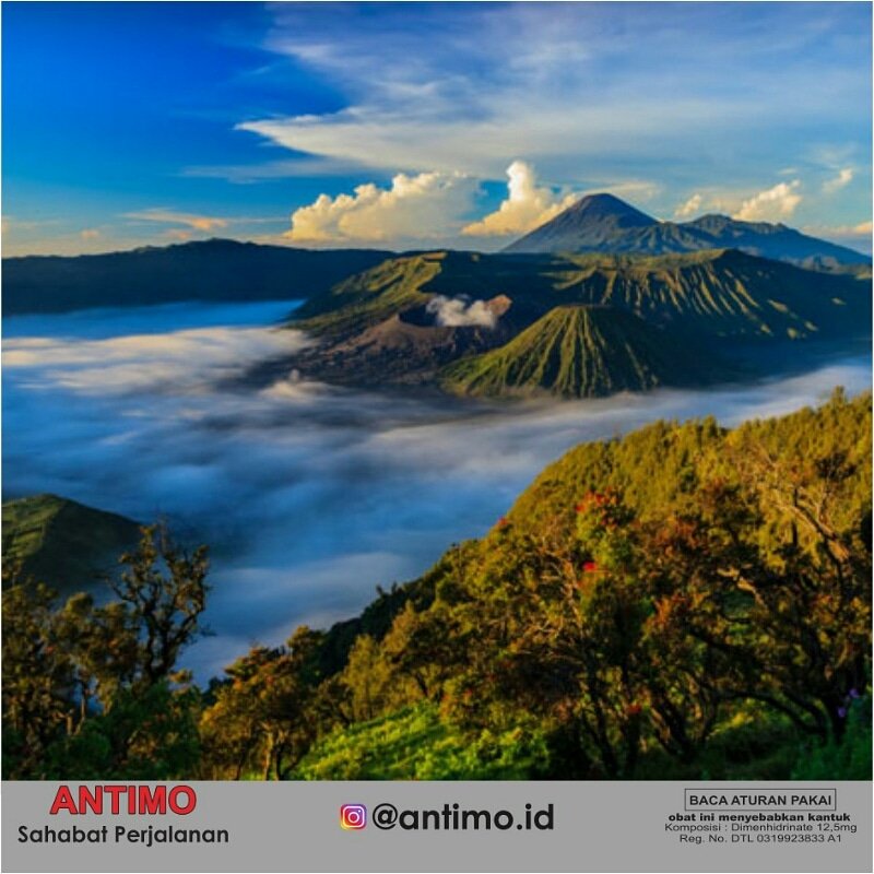 Antimo_ID's tweet image. Pagi-pagi bagun tidur trus buka cendela, menikmati keindahan alam seperti ini di depan mata. Apa yang pertama ingin kamu sampaikan. Colek geng kamu ya gaes ajak kesini
#antimo #sahabatperjalanan
