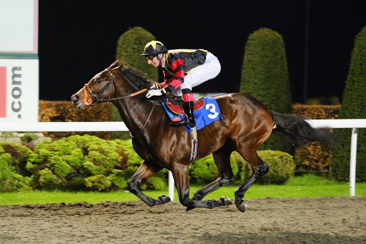 DrJohnnyHon's tweet photo. First time a winner! Last Wednesday, another of my horses in the UK won a race. Global Spectrum won the 32Red Casino / https://t.co/62KZg9g5gJ Novice Stakes at @KemptonParkRace.
#drjohnnyhon #globalgrouphk #horseracing #globalspectrum #equestrian https://t.co/m8HS2NS055